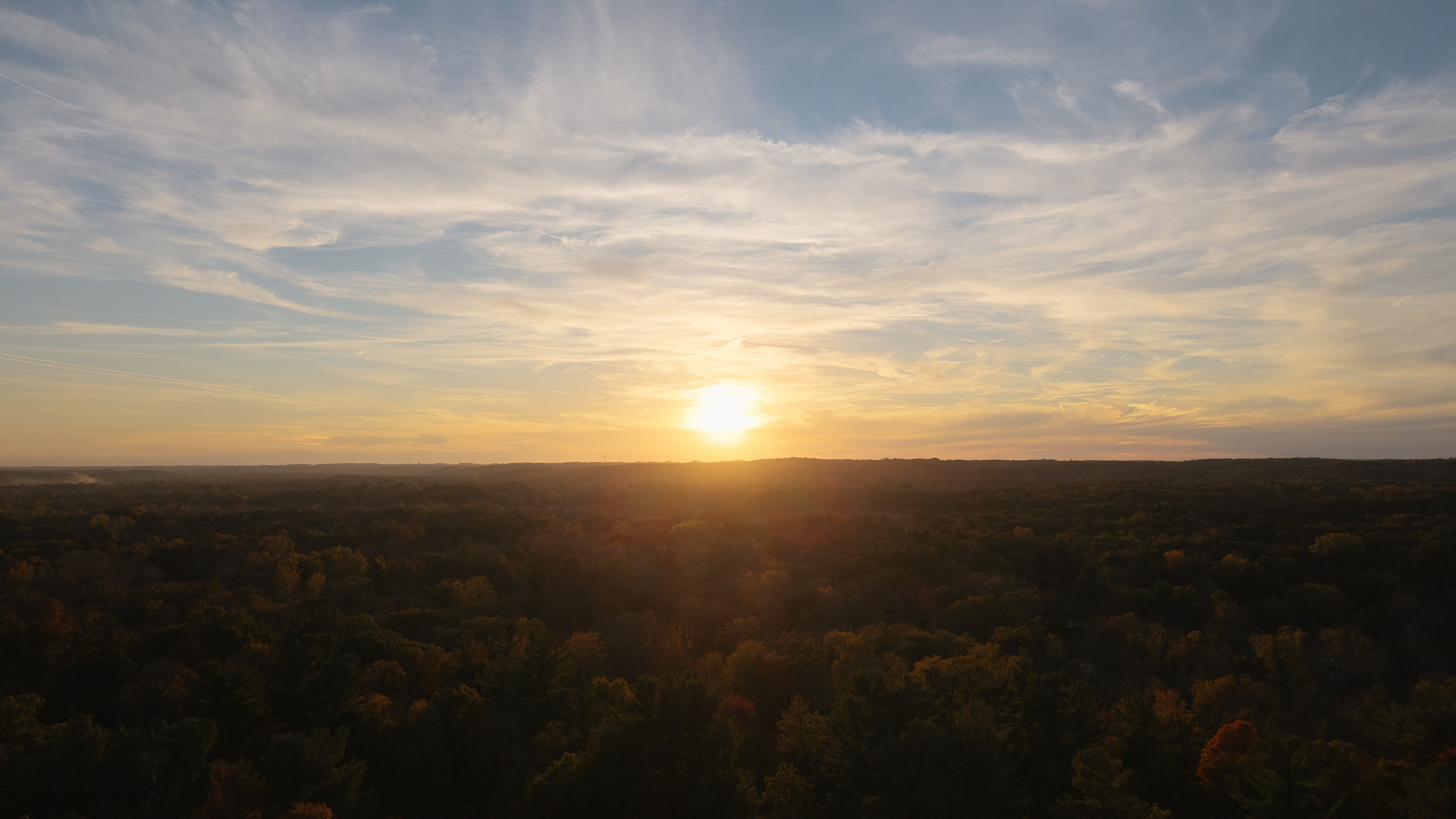 Forest Sunset