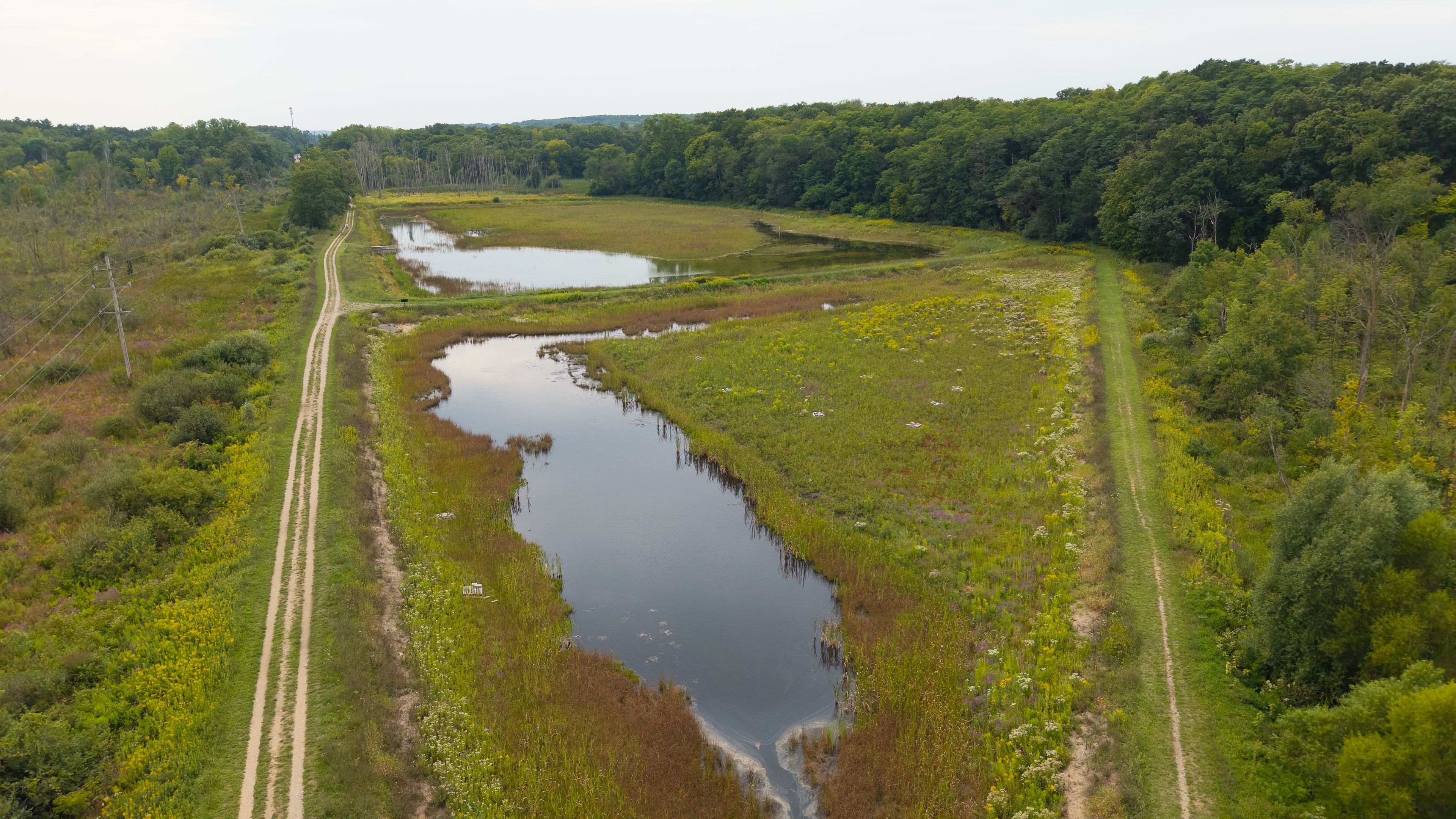 Wetlands Aerial